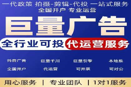 竞价广告的投放策略与效果评估——以一成功企业为例